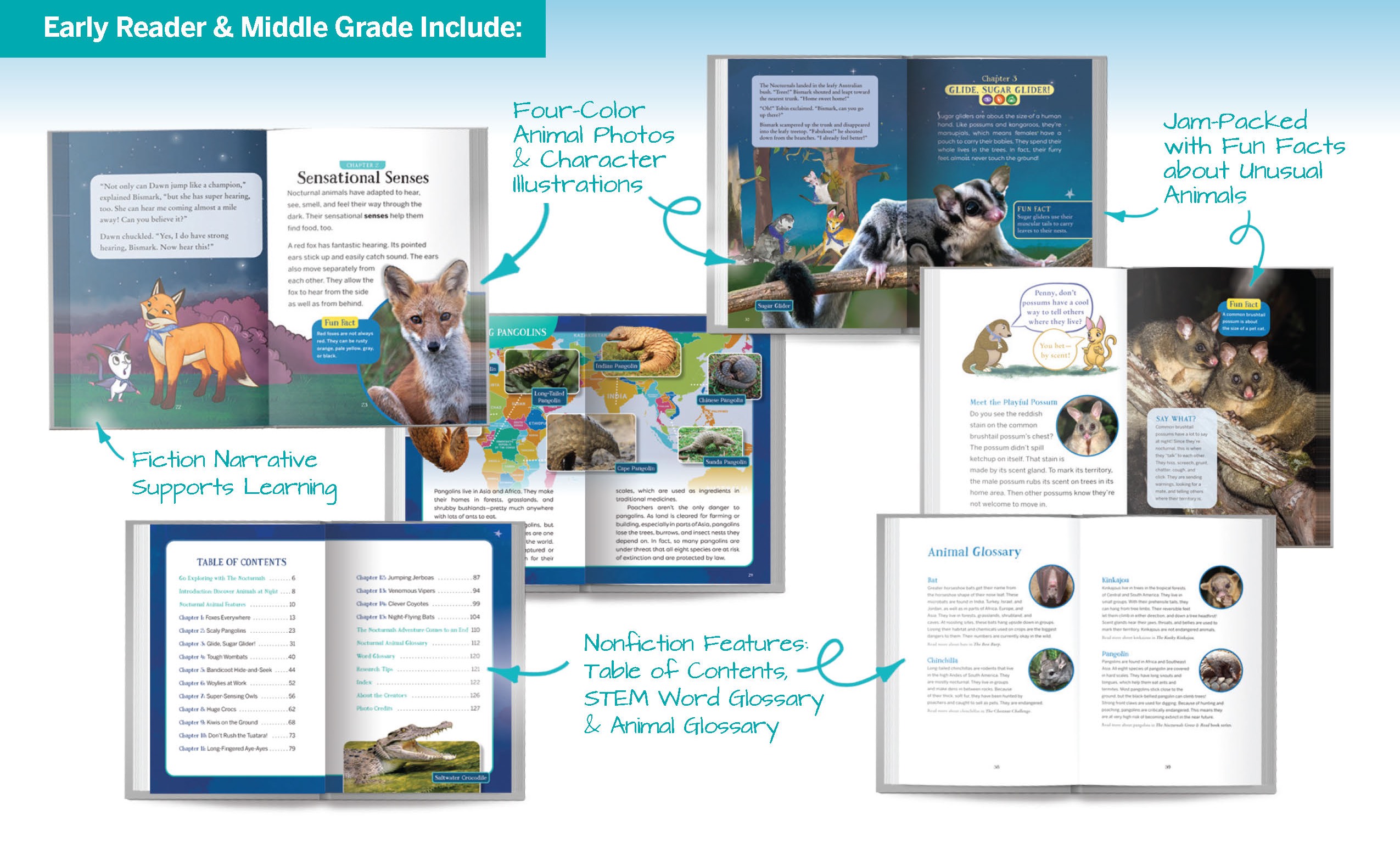 Using arrows to point to certain pages of the book, this graphic shows features of what the early reader & middle grade books include such as the four color animal photos, character illustrations, and fun facts about unusual animals.